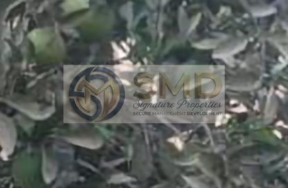 فيلا - 4 غرف نوم - 4 حمامات للايجار في جراند ريزيدنس - المستثمرين الجنوبية - مدينة القاهرة الجديدة - القاهرة