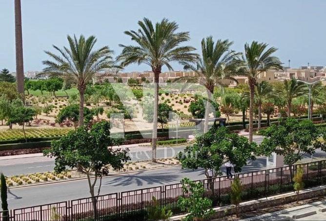 71650219 - صورة العقار 2