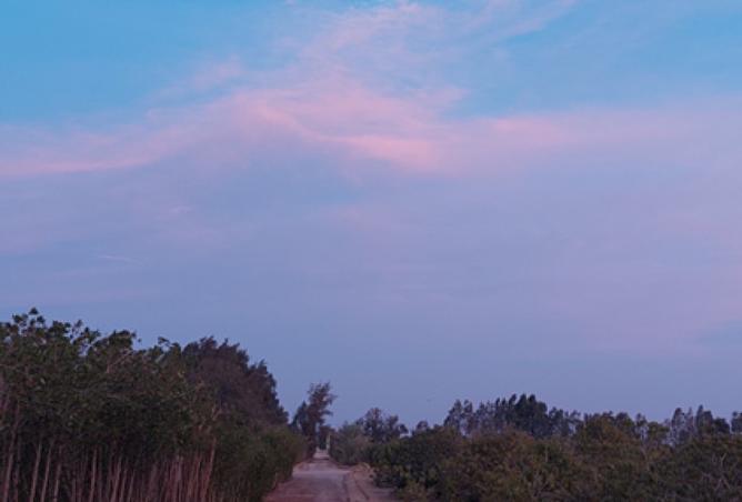 92128381 - صورة العقار 2