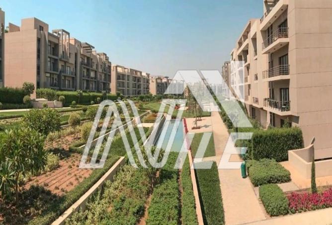 72454125 - Property Image 3