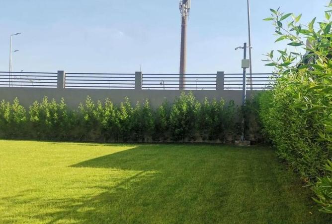 61684669 - Property Image 3