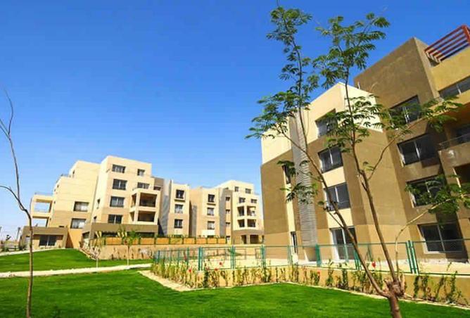 77336642 - صورة العقار 3