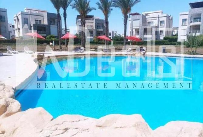 59250042 - Property Image 3