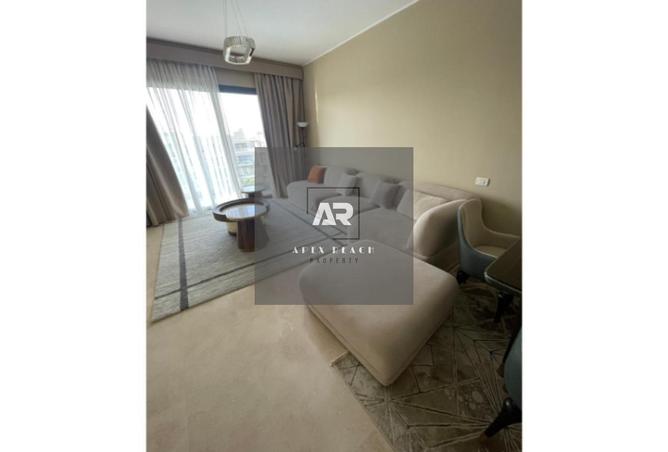 8699829 - Property Image 3