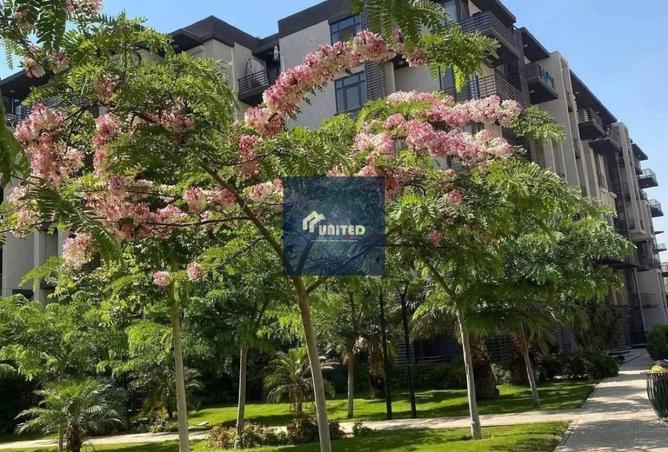 8517563 - Property Image 2