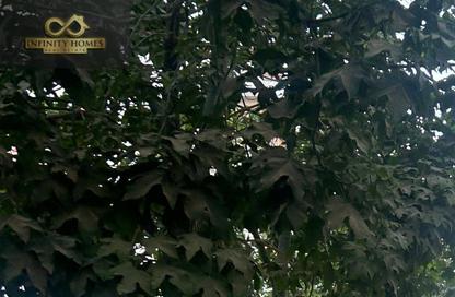 Duplex - 3 Bedrooms - 3 Bathrooms for sale in Hyde Park - New Cairo City - Cairo