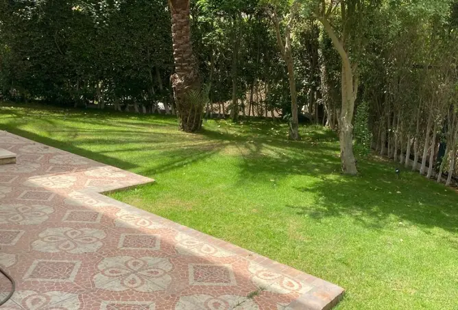 116497328 - Property Image 2
