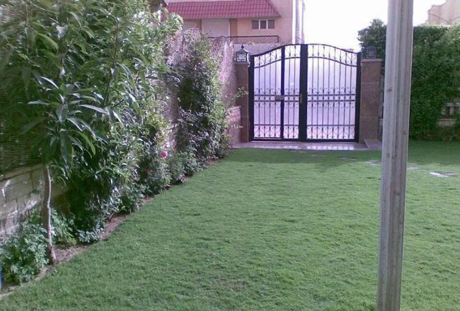 55751386 - صورة العقار 3