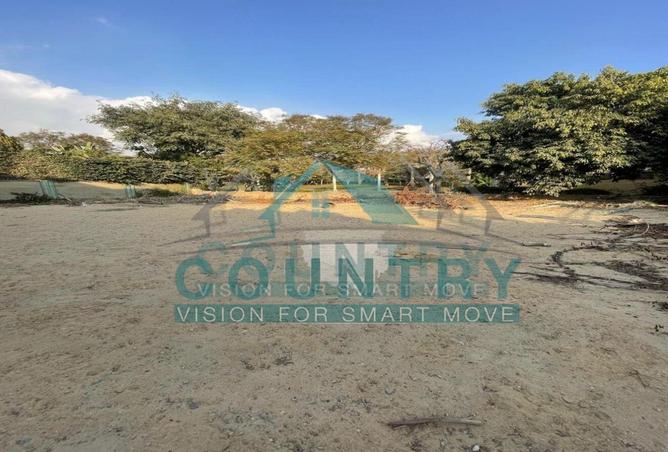 52184394 - Property Image 2