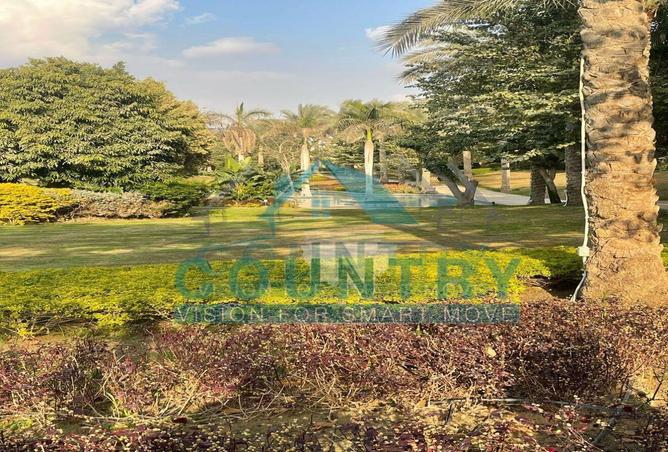 52184394 - Property Image 3