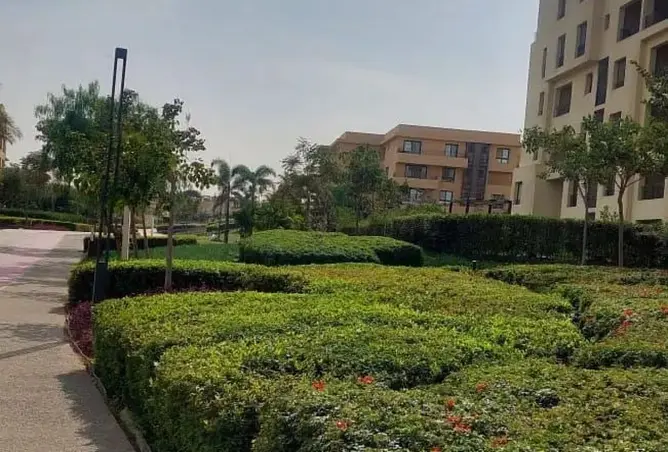 114889944 - صورة العقار 2