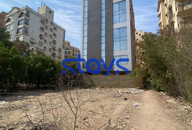 117530102 - Property Image 3