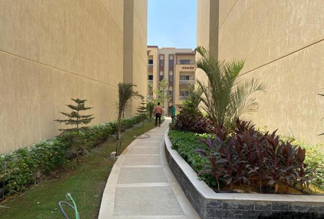 53475117 - صورة العقار 2