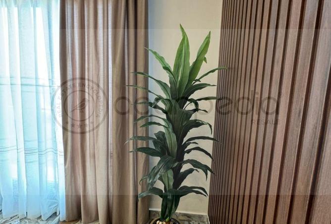 57241830 - صورة العقار 3