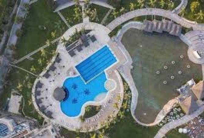 59234506 - Property Image 3