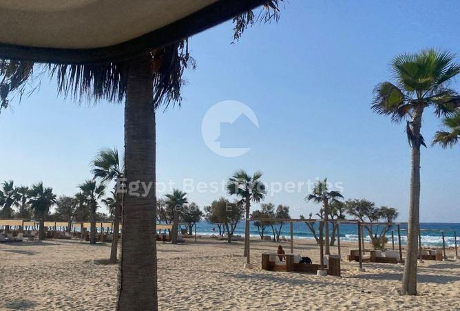 96867736 - صورة العقار 3