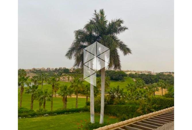 53724595 - Property Image 2