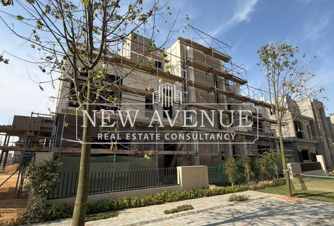 56507984 - Property Image 3