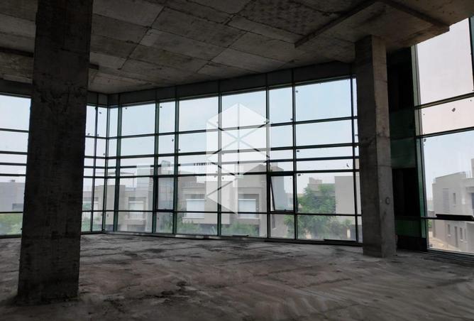 81317041 - Property Image 2