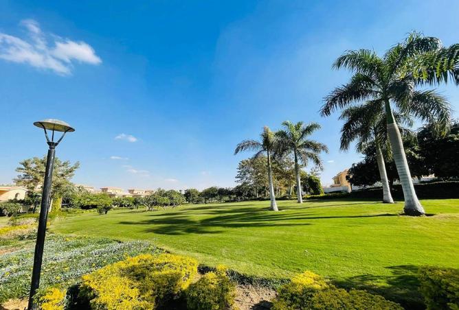 8586018 - صورة العقار 2