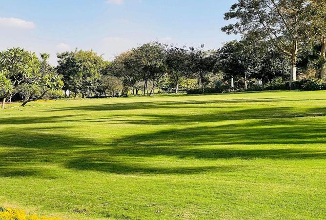 8586018 - صورة العقار 3