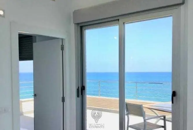 117269401 - Property Image 3