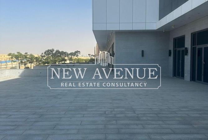 56496617 - Property Image 3