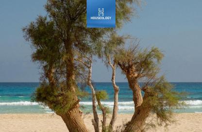 فيلا - 5 غرف نوم - 5 حمامات للبيع في مرسي باجوش - قسم مرسي مطروح - الساحل الشمالي فيلا - 5 غرف نوم - 5 حمامات للبيع في مرسي باجوش - قسم مرسي مطروح - الساحل الشمالي
