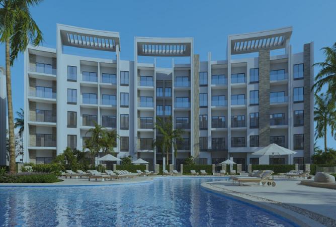 55512884 - Property Image 3