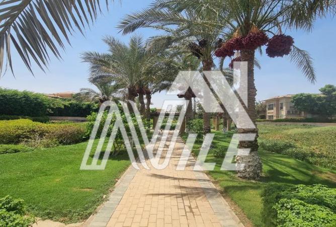 67740284 - صورة العقار 2