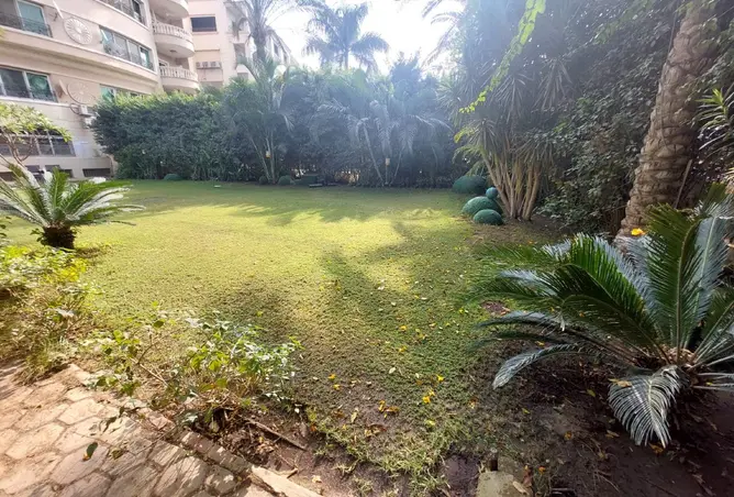 118803818 - صورة العقار 2