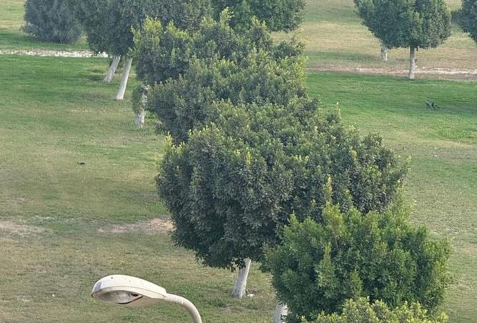 69048530 - صورة العقار 2