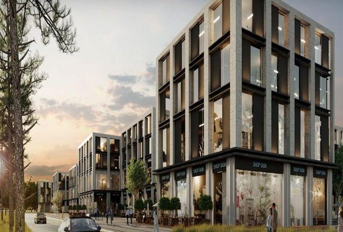 8680217 - صورة العقار 3