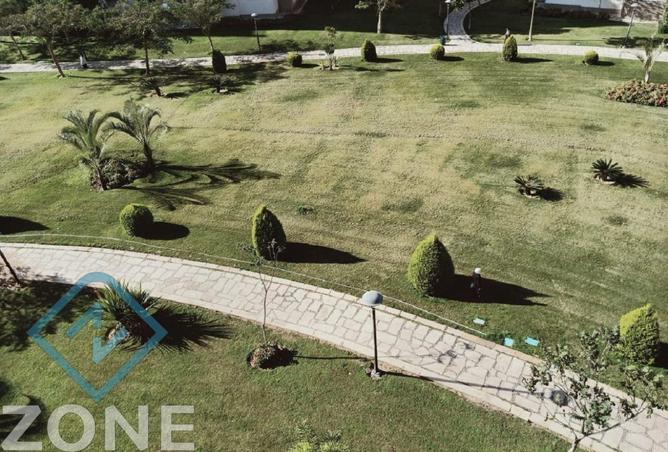 8559281 - صورة العقار 3