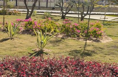 Apartment - 3 Bedrooms - 2 Bathrooms for sale in Noor City - Cairo