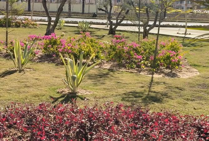 92955339 - صورة العقار 3