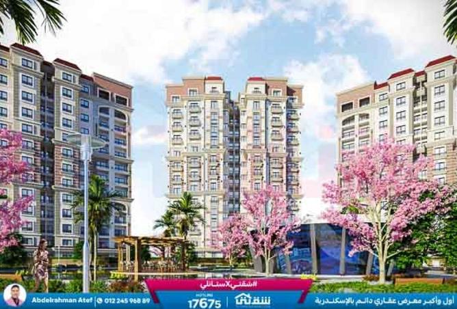 8594755 - Property Main Image