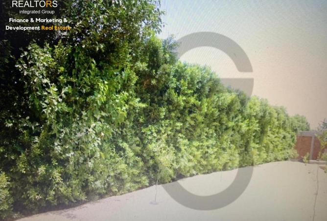 53722104 - Property Image 2