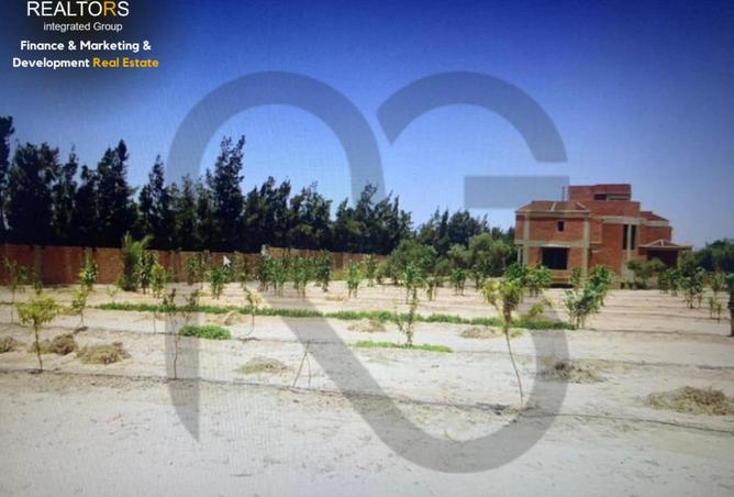 53722104 - Property Image 3