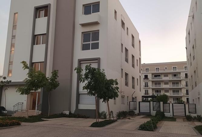 81835126 - Property Image 2