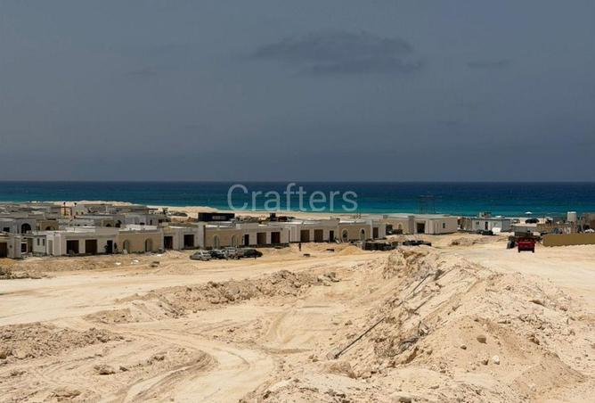 101489549 - Property Image 3