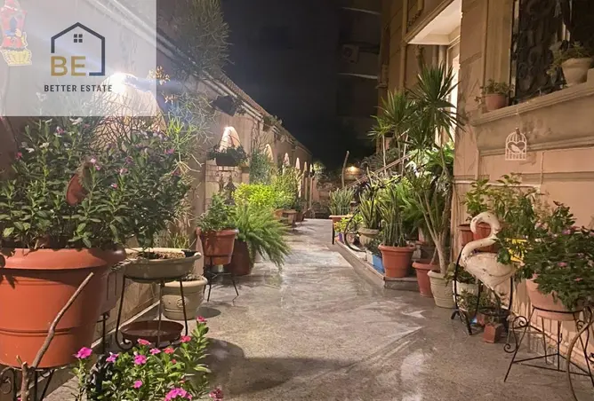 113816697 - صورة العقار 3