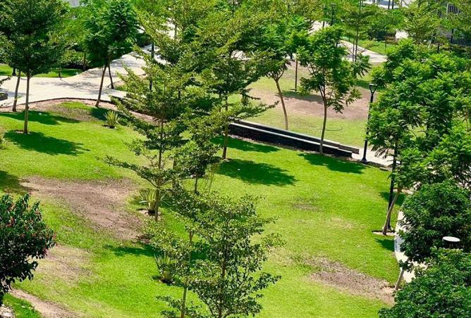 64649283 - الصورة الرئيسية للعقار