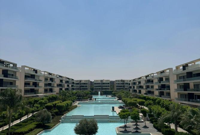 81568085 - صورة العقار 3