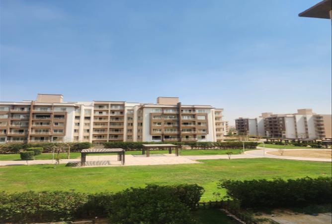 68006262 - Property Image 3