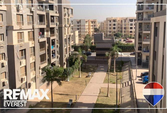 52451398 - صورة العقار 2