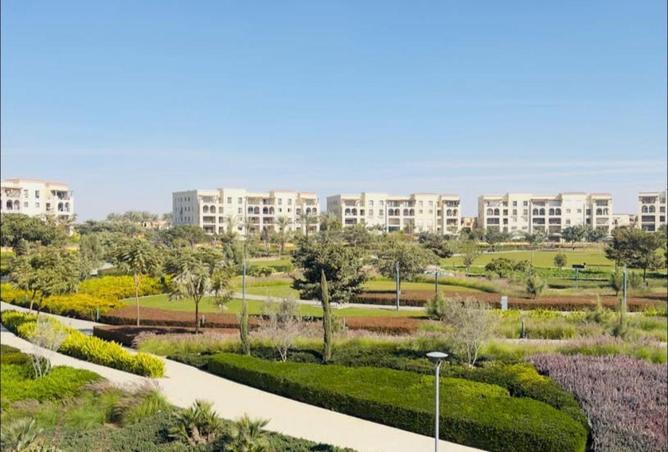 8610050 - صورة العقار 2