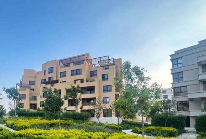 55263489 - صورة العقار 3