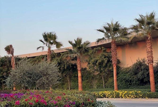 55263489 - صورة العقار 2