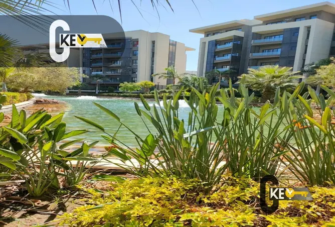 66695750 - صورة العقار 3